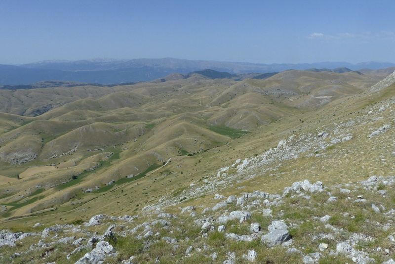 Le belle Epipactis sulle praterie di Campo Imperatore (AQ)  luglio 2025.